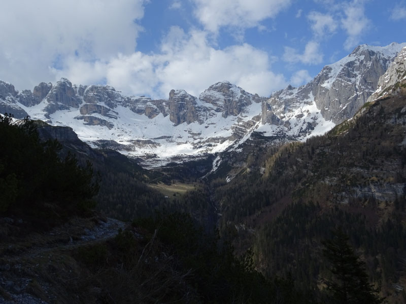 Ursus arctos.....l''habitat